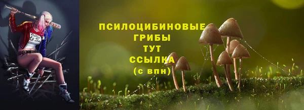 прущие крисы Балахна